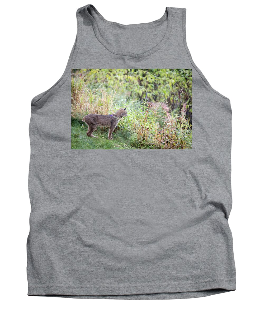 Lynx Tank Top featuring the photograph Ever Vigilant #1 by Tim Newton