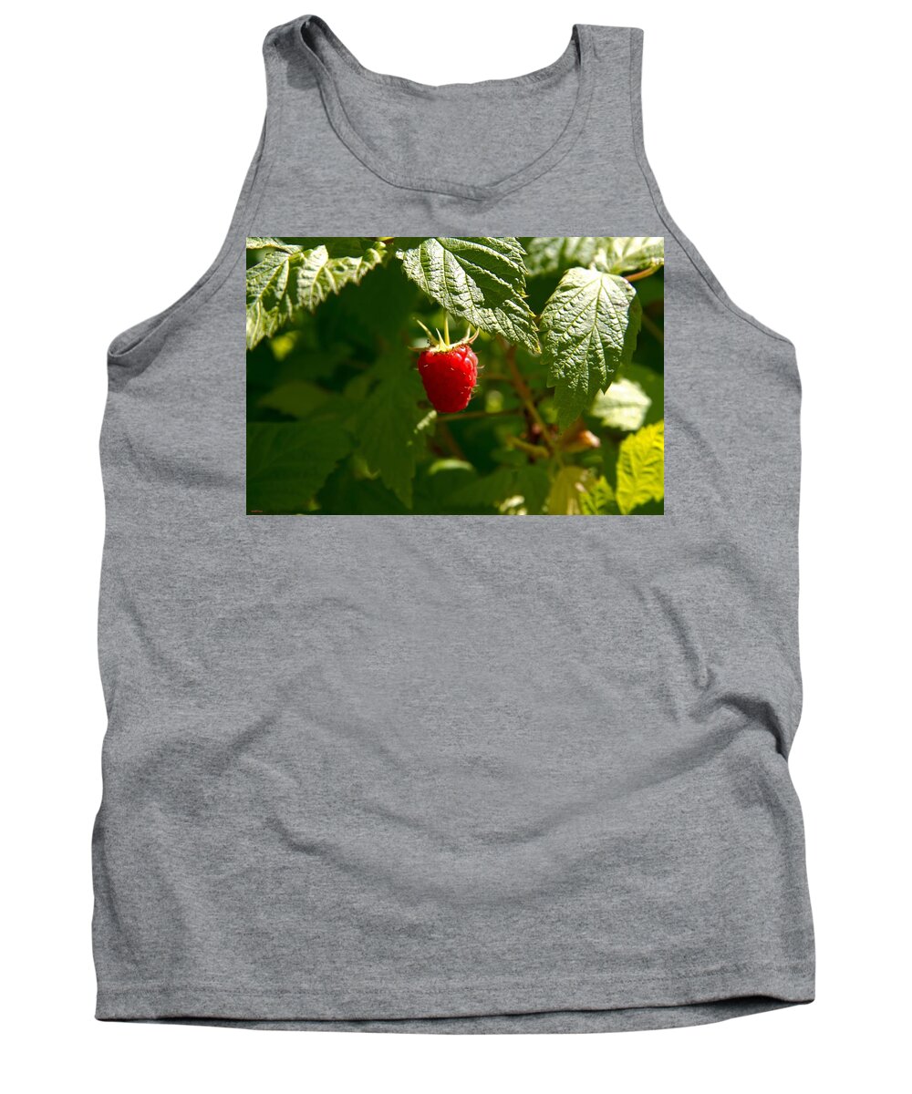 Raspberry Tank Top featuring the photograph Raspberry by Martine Murphy
