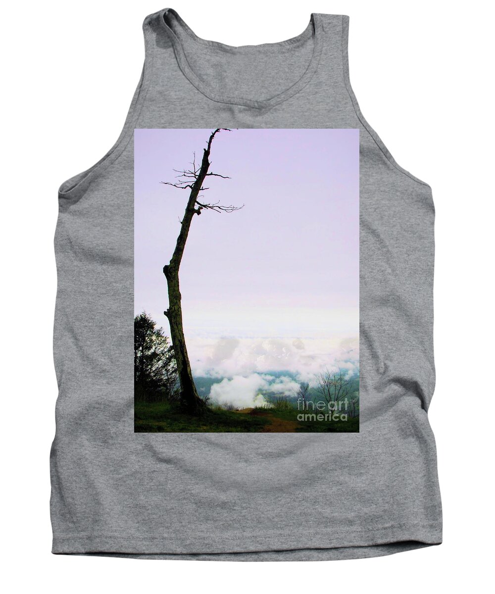 Shenandoah Tank Top featuring the photograph Reaching in the Shenandoah by Nicole Angell
