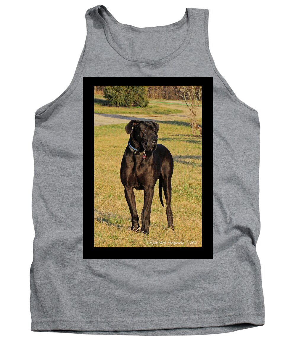 Great Dane Tank Top featuring the photograph 'Really Big Bigg of Crescent Farm' by PJQandFriends Photography
