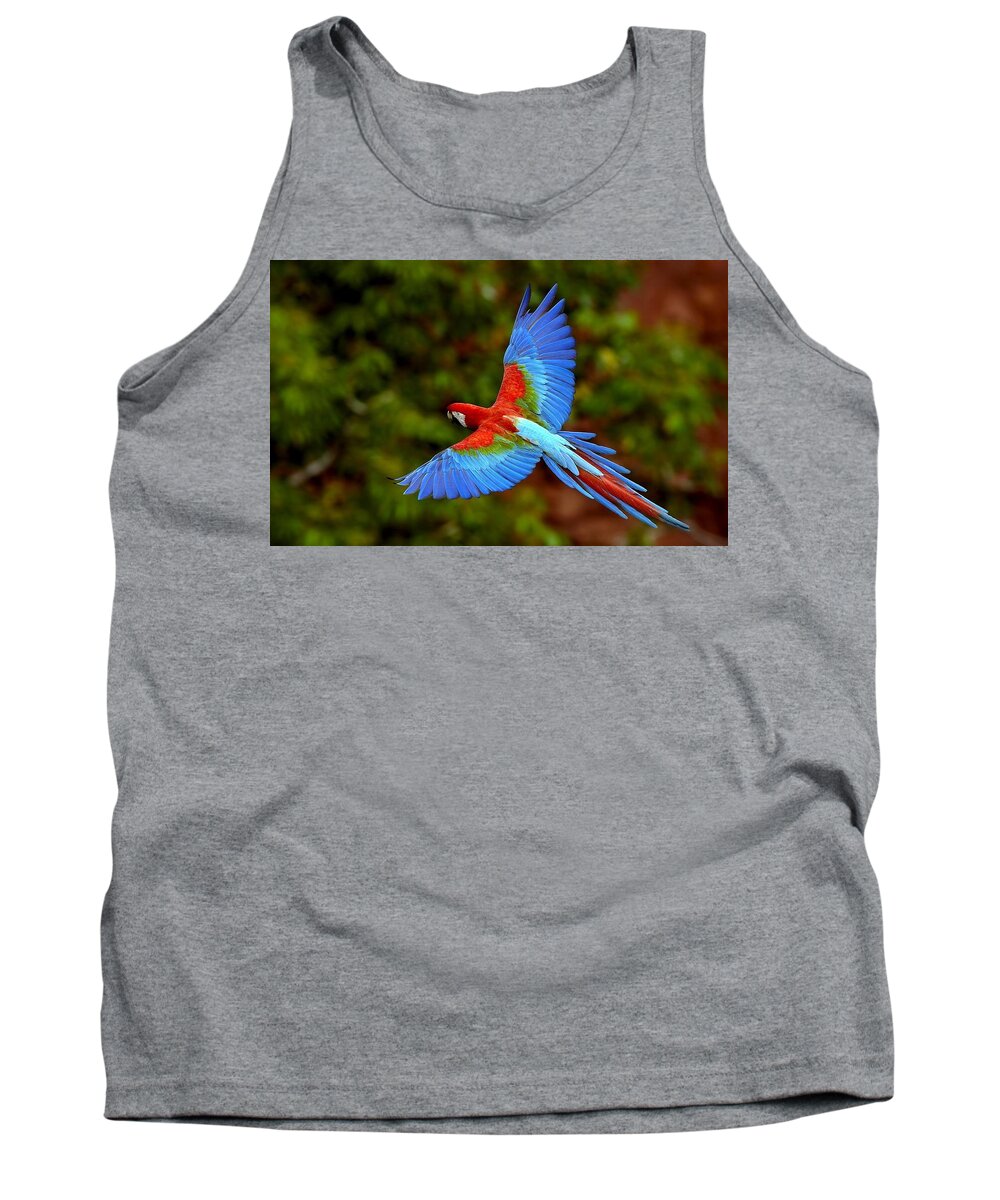Red-and-green Macaw Tank Top featuring the photograph Red-and-green Macaw by Mariel Mcmeeking