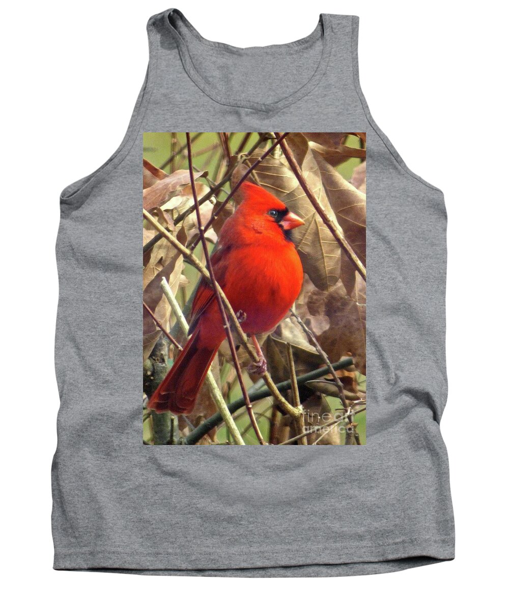 Cardinal Tank Top featuring the photograph Red Beauty by Jean Wright