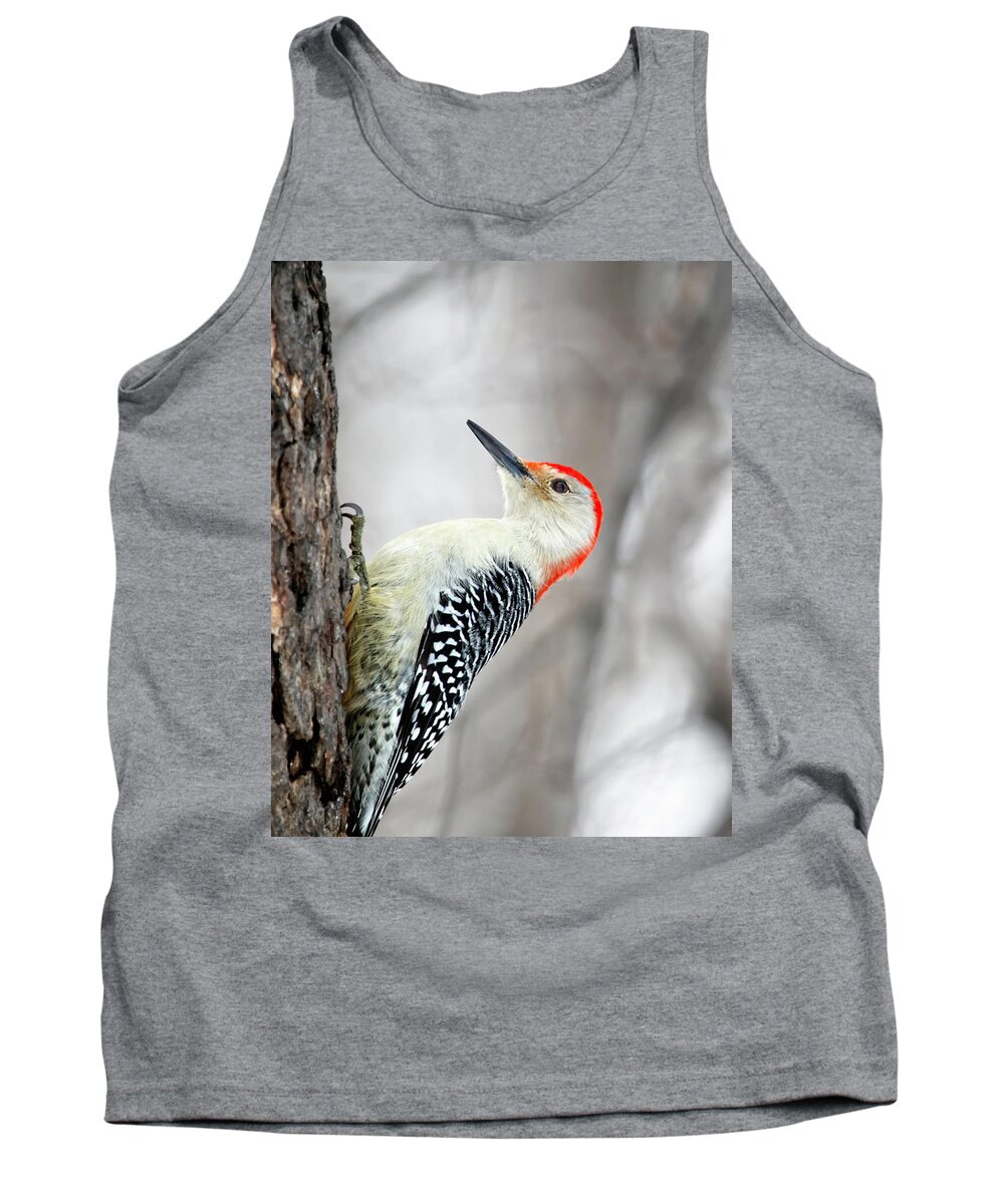 Birds Tank Top featuring the photograph Red-bellied Woodpecker by Al Mueller