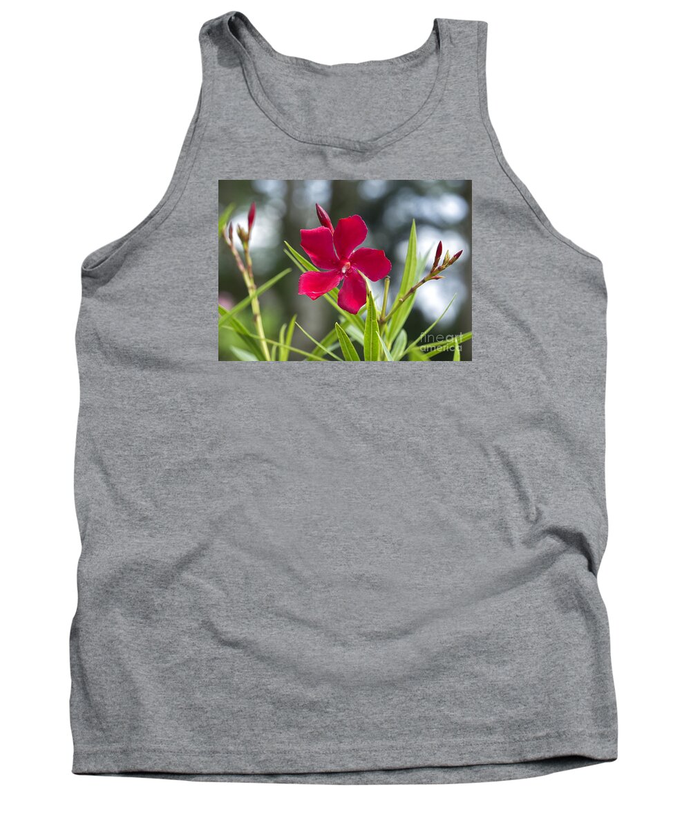 Flowering Plant Tank Top featuring the photograph Red Hibiscus, Sri Lanka by Ivan Batinic