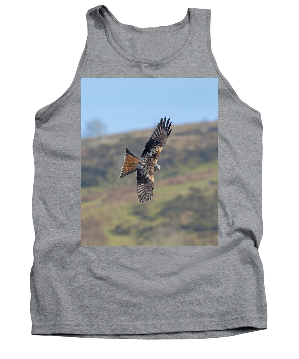 Red Tank Top featuring the photograph Red Kite by Pete Walkden