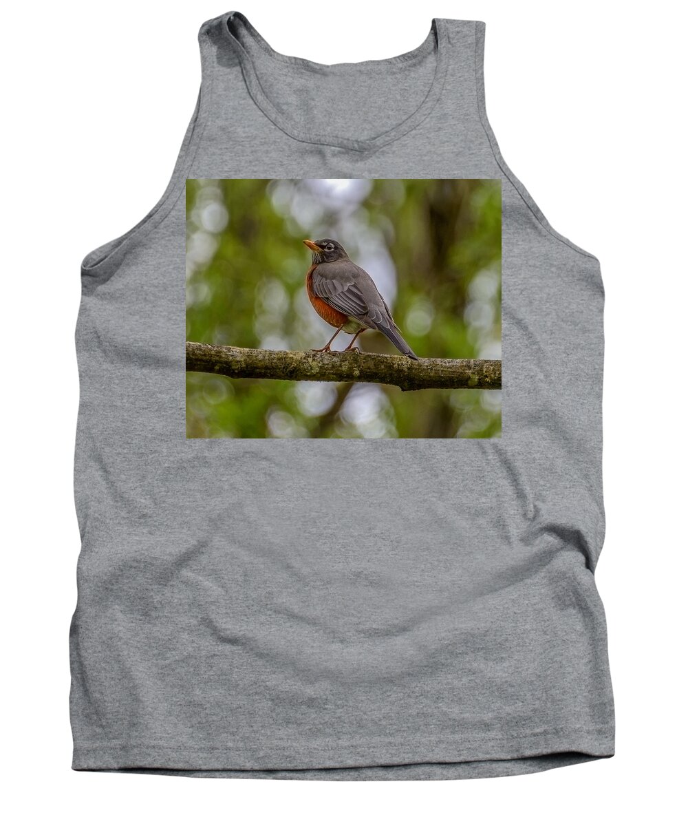 Robin Tank Top featuring the photograph Red robin by Jerry Cahill