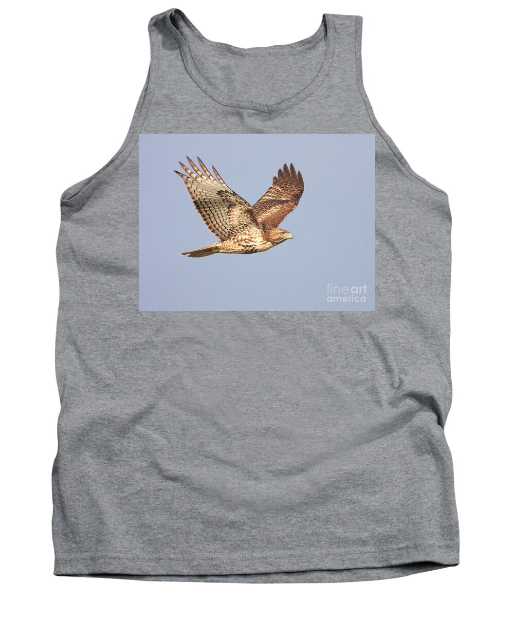 Red Tail Hawk Tank Top featuring the photograph Red Tailed Hawk 20100101-1 by Wingsdomain Art and Photography