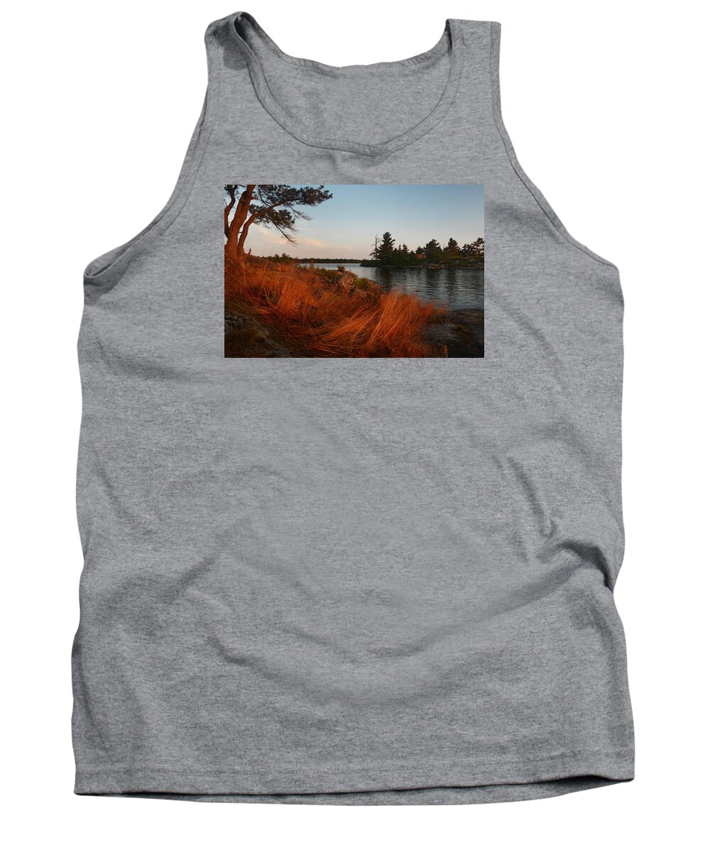 Hopewell Bay Tank Top featuring the photograph Red Wild Grass Georgian Bay by Steve Somerville