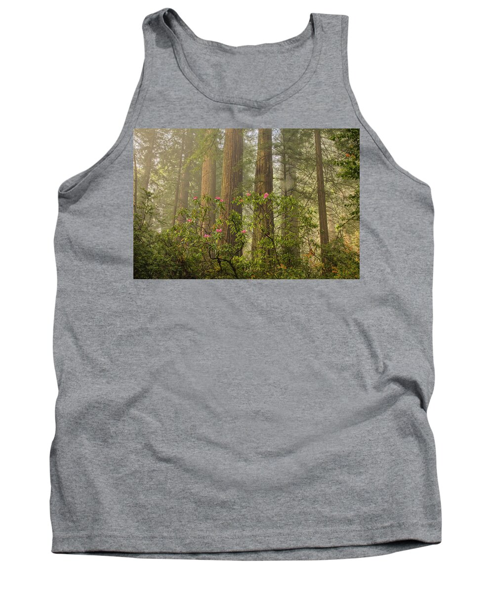Abundance Tank Top featuring the photograph Redwood Magic by Eggers Photography