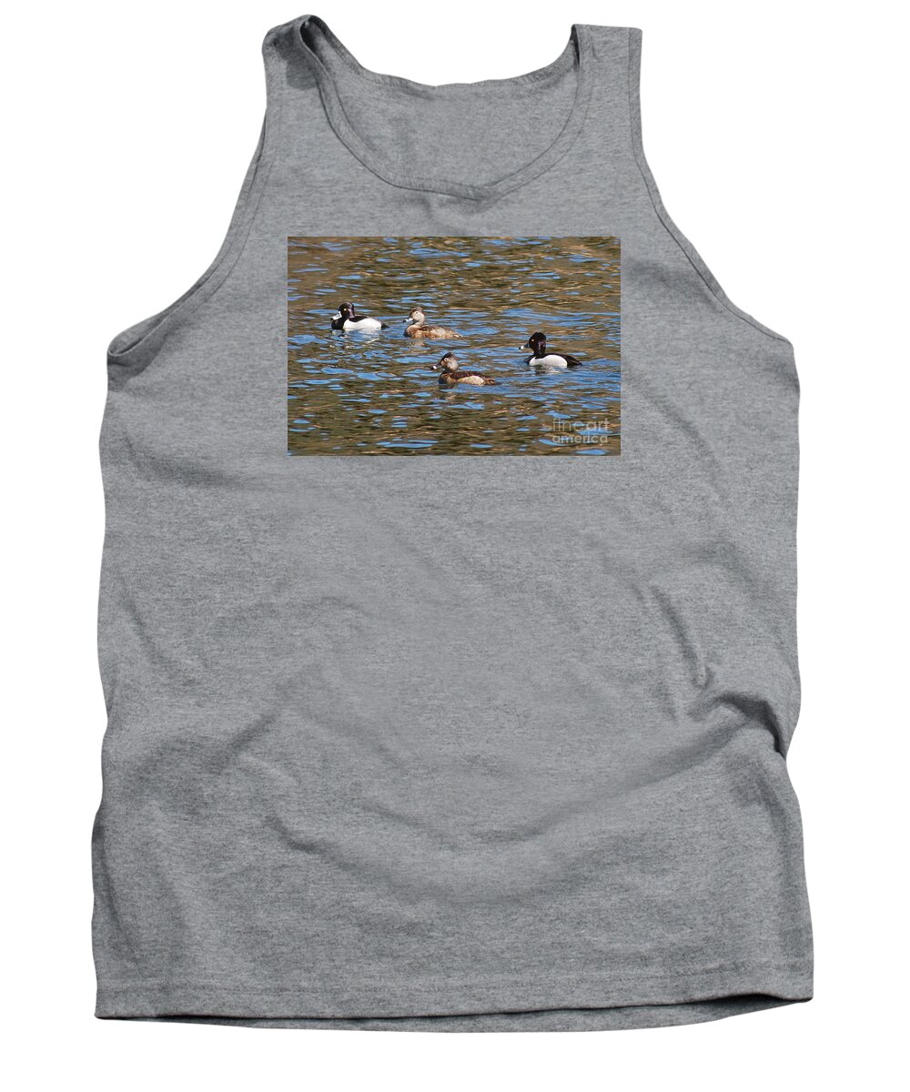 Ring Necks Tank Top featuring the photograph Ring Neck Ducks 20120314_D by Tina Hopkins
