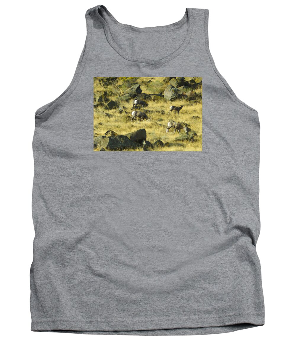 Sheep Tank Top featuring the photograph Roaming Free by Dale Stillman