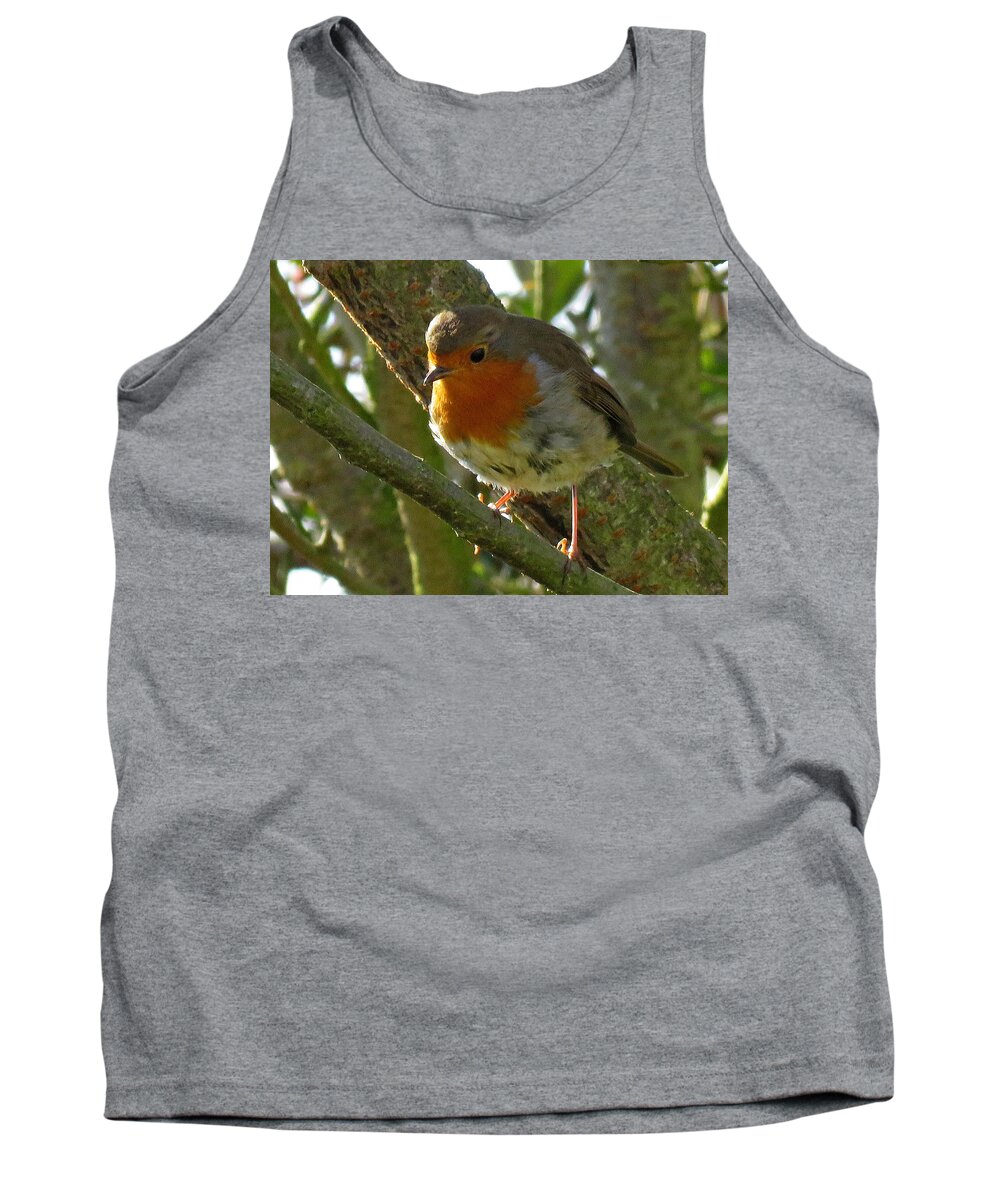 Robin Tank Top featuring the photograph Robin in a Tree by John Topman