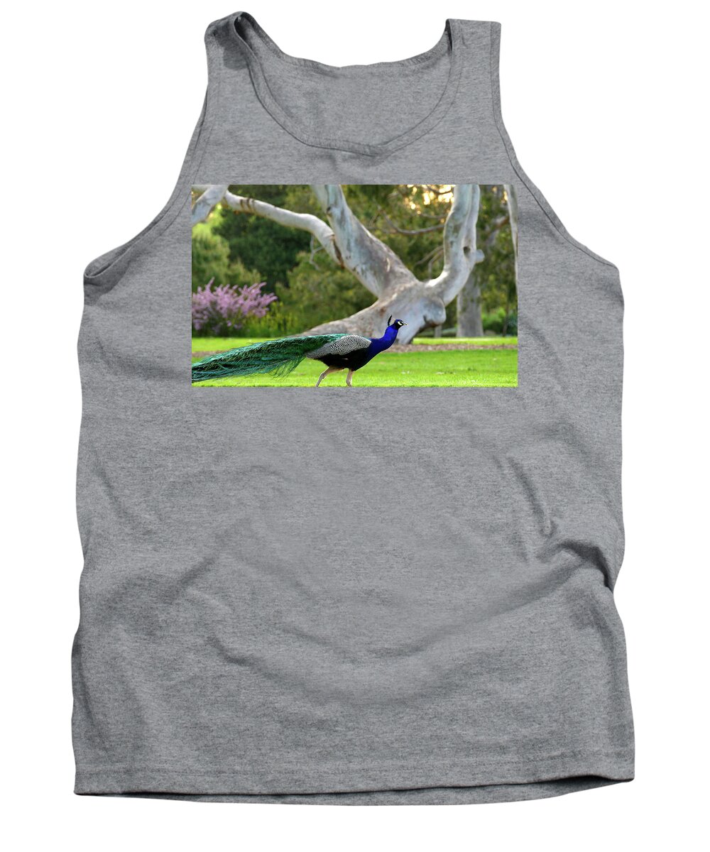 Peacock Tank Top featuring the photograph Royalty by Evelyn Tambour