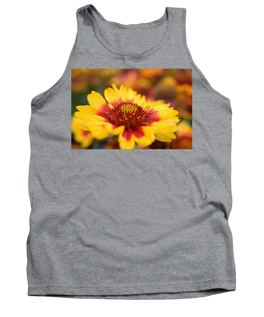 Flower Tank Top featuring the photograph Rudbeckia by Jimmy Chuck Smith