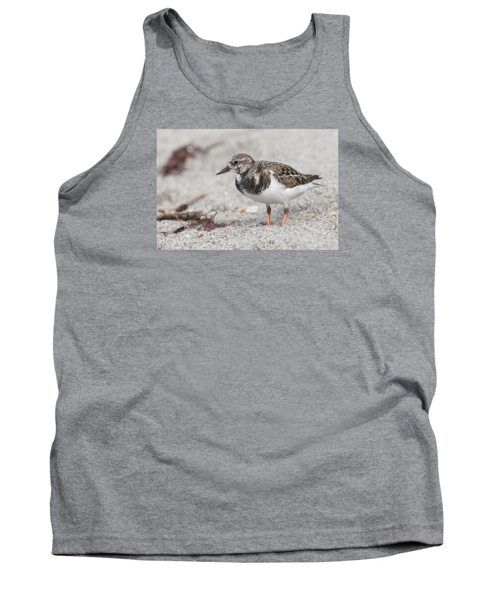 Arenaria Tank Top featuring the photograph Ruddy Turnstone on the beach by David Watkins