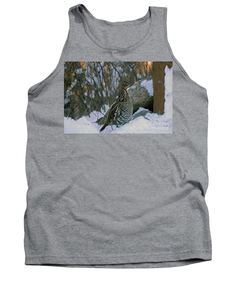 Grouse Tank Top featuring the photograph Ruffed Grouse by Cindy Murphy - NightVisions