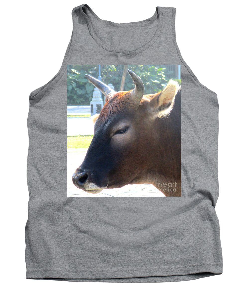 Sacred Cow Tank Top featuring the photograph Sacred Cow 4 by Randall Weidner