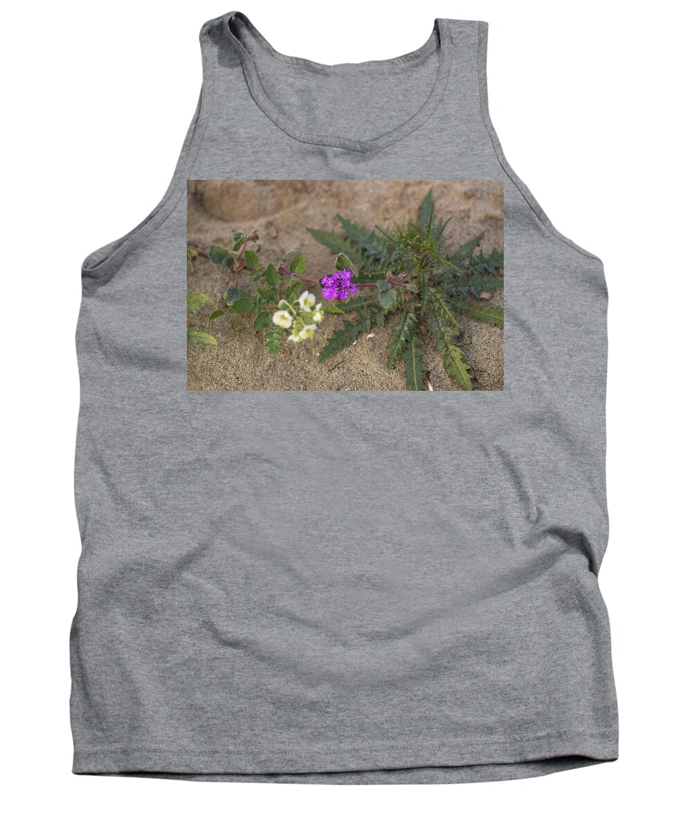 Anza Borrego Wildflowers Tank Top featuring the photograph Sand verbena sunset by Kunal Mehra
