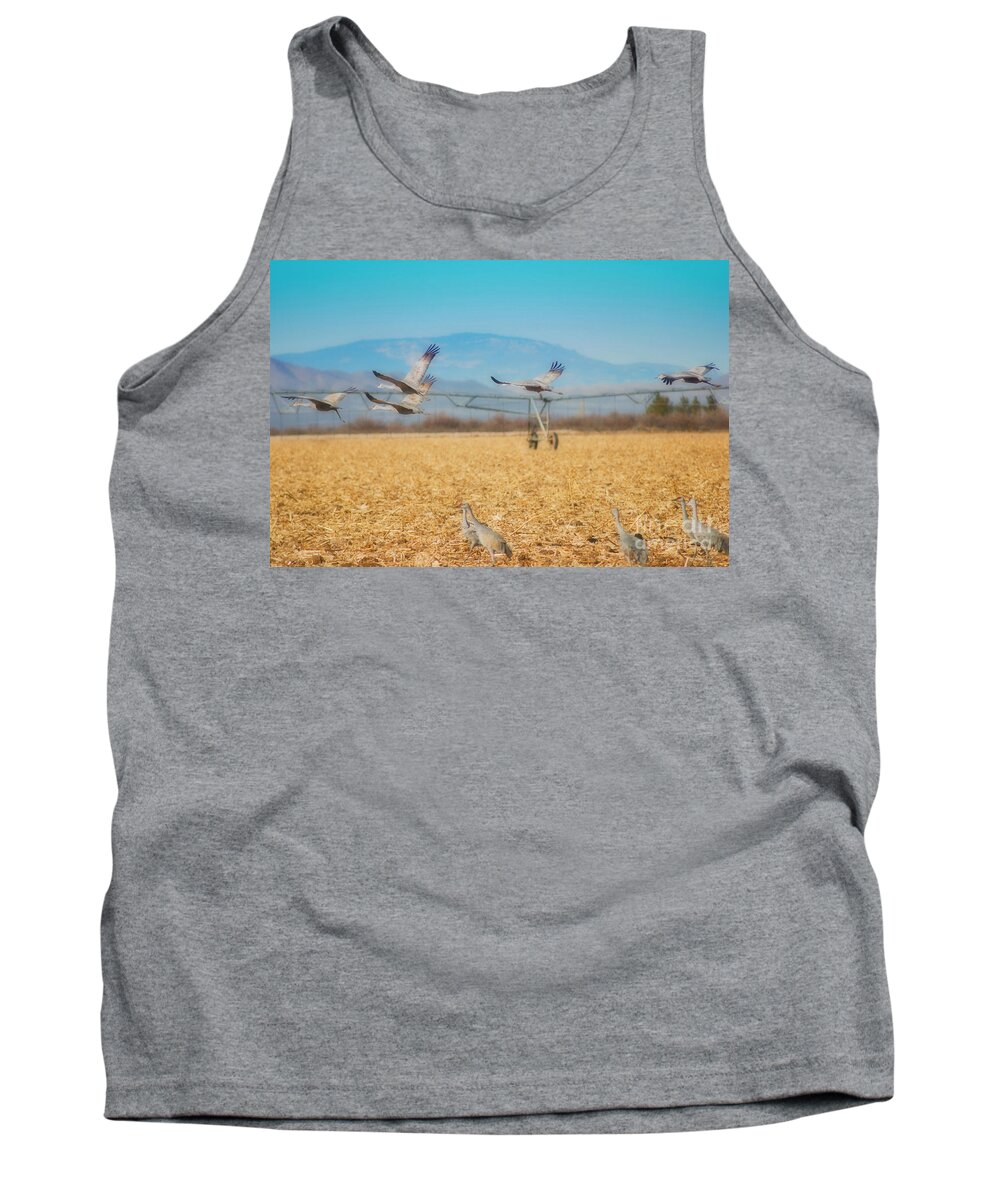 Crane Tank Top featuring the photograph Sandhill Cranes In Flight by Donna Greene