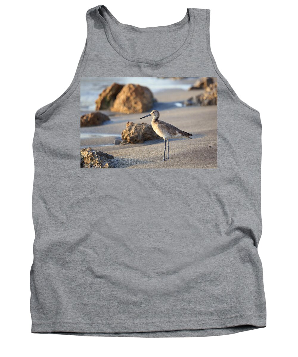 Florida Tank Top featuring the photograph Sandpiper by Paul Schultz