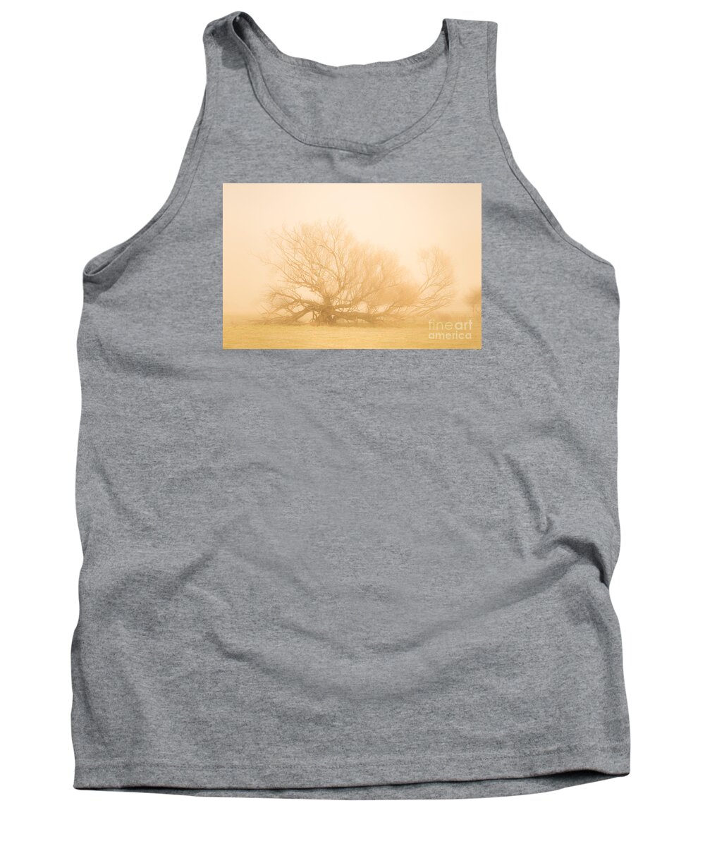 Haunting Tank Top featuring the photograph Scary tree scenes by Jorgo Photography