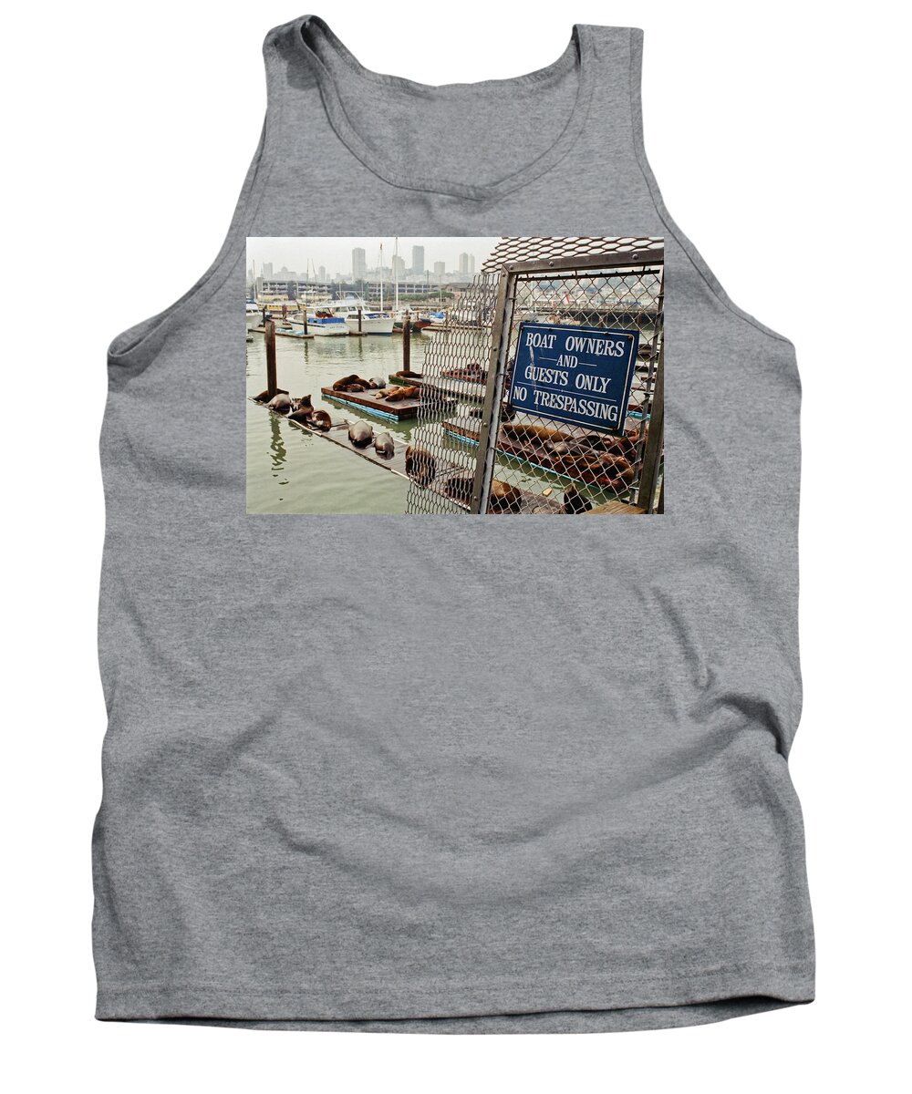 Color Tank Top featuring the photograph Sea Lions Take Over, San Francisco by Frank DiMarco