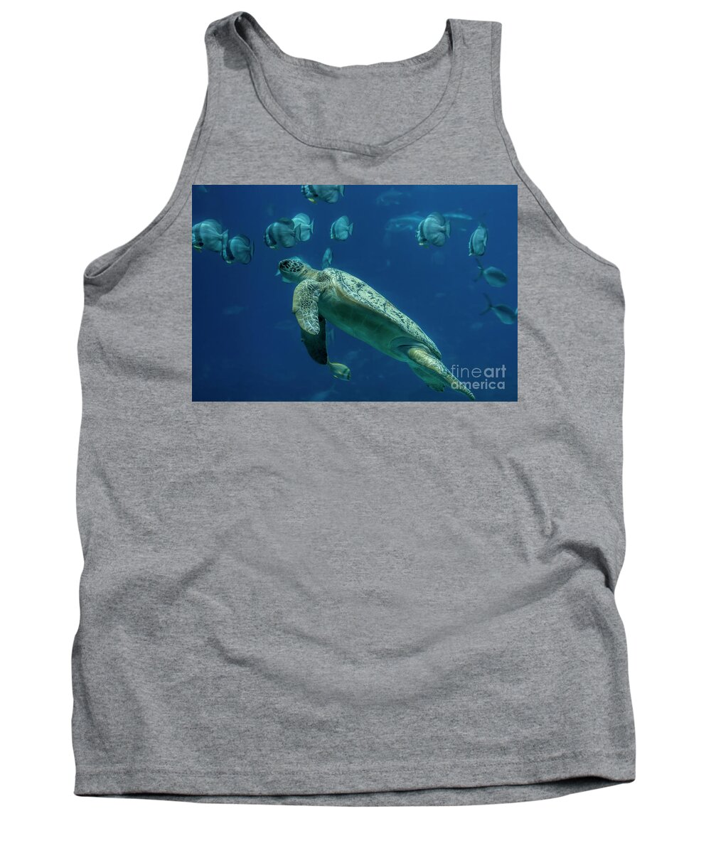 Sea Turtle Tank Top featuring the photograph Sea Turtle by Barbara Bowen