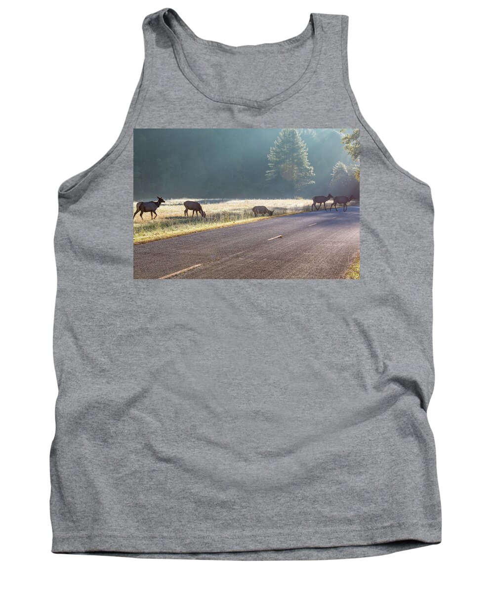 Elk Tank Top featuring the photograph Searching For Greener Grass by D K Wall