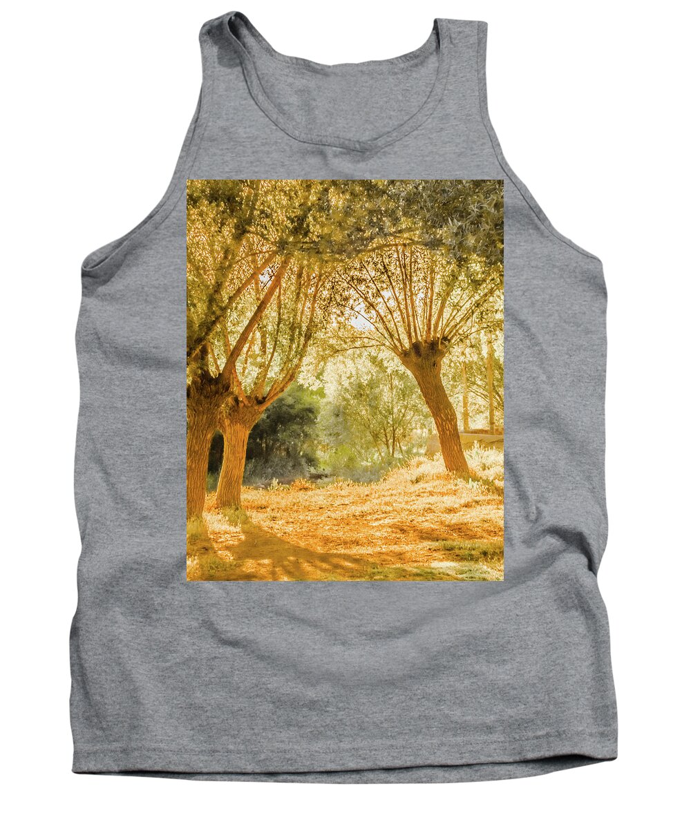 Turkey Tank Top featuring the photograph Selime, Turkey - Enchanted Trees by Mark Forte