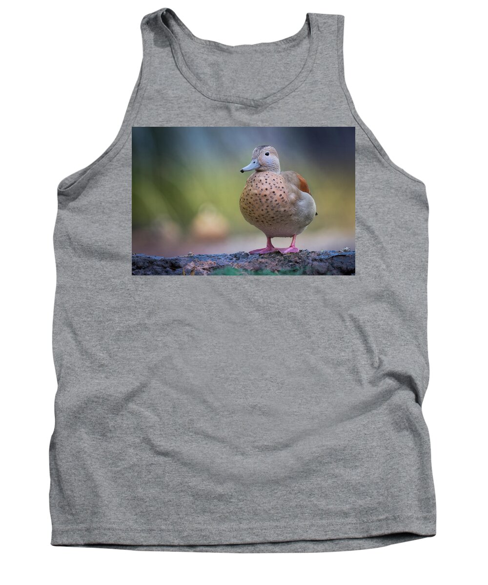 Photograph Tank Top featuring the photograph Seriously Cute by Cindy Lark Hartman