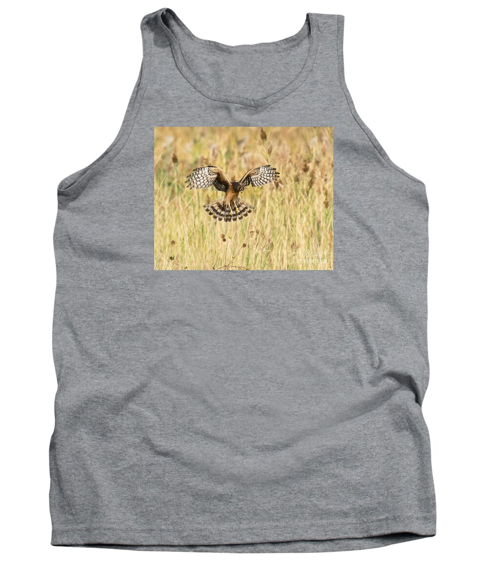 Bird Tank Top featuring the photograph Sighting the Prey by Dennis Hammer