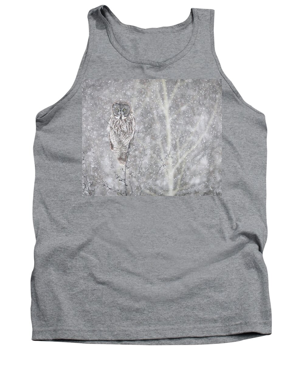 Owl Tank Top featuring the photograph Silent Snowfall Landscape by Everet Regal
