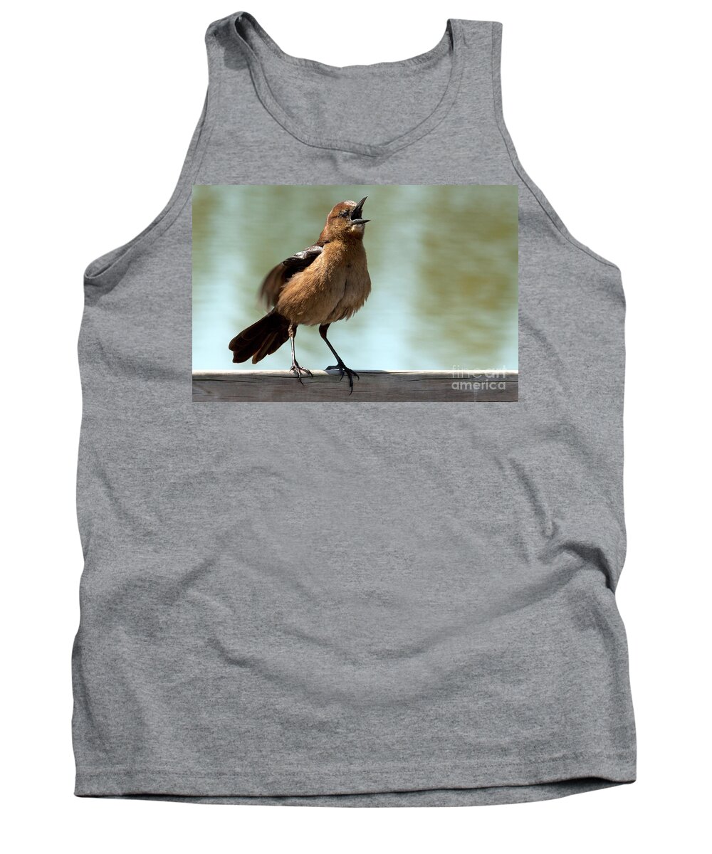 Boat-tailed Grackle Tank Top featuring the photograph Sing Out Loud by Meg Rousher