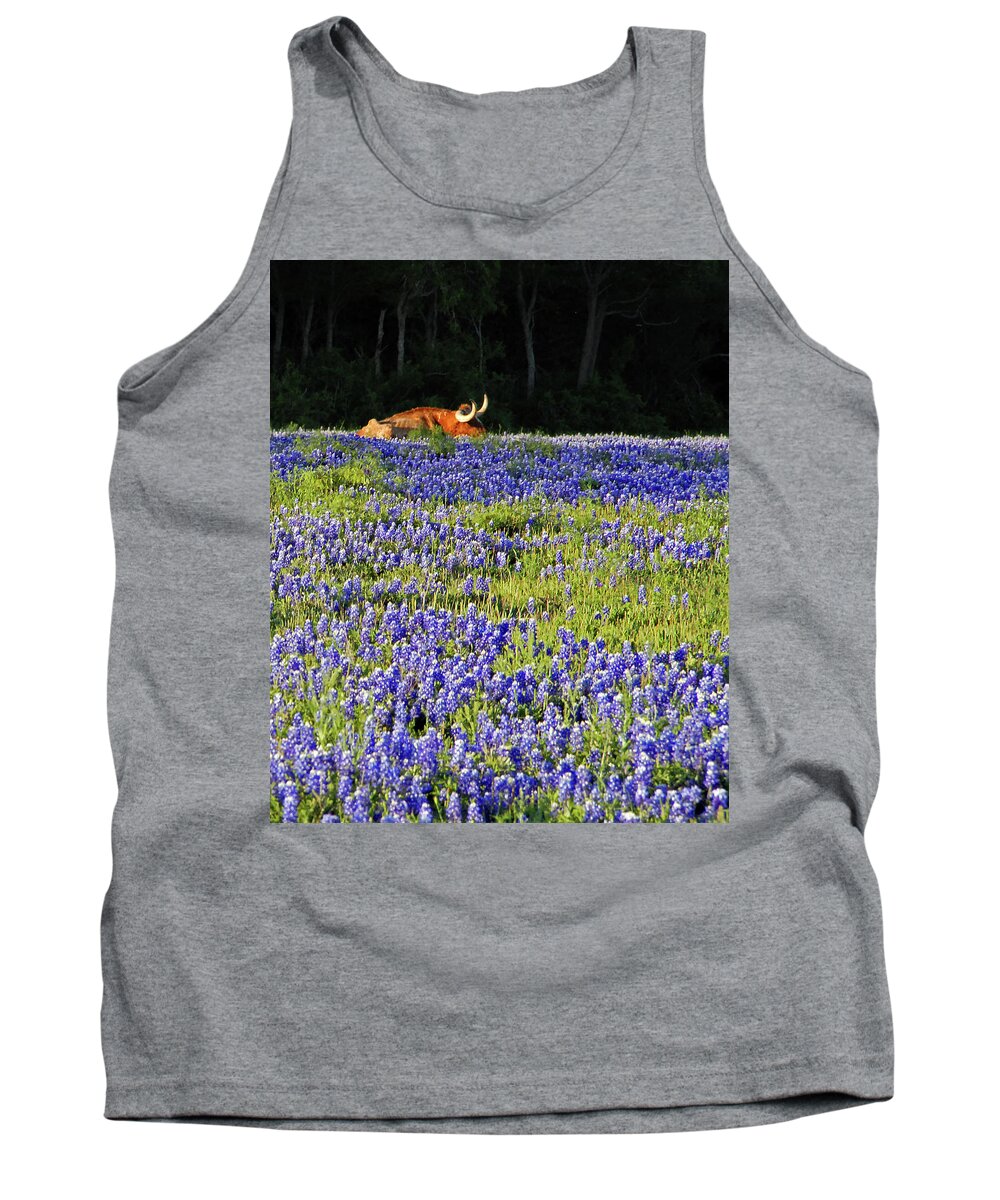 Cow Tank Top featuring the photograph Sleeping Longhorn in Bluebonnet Field by Ted Keller