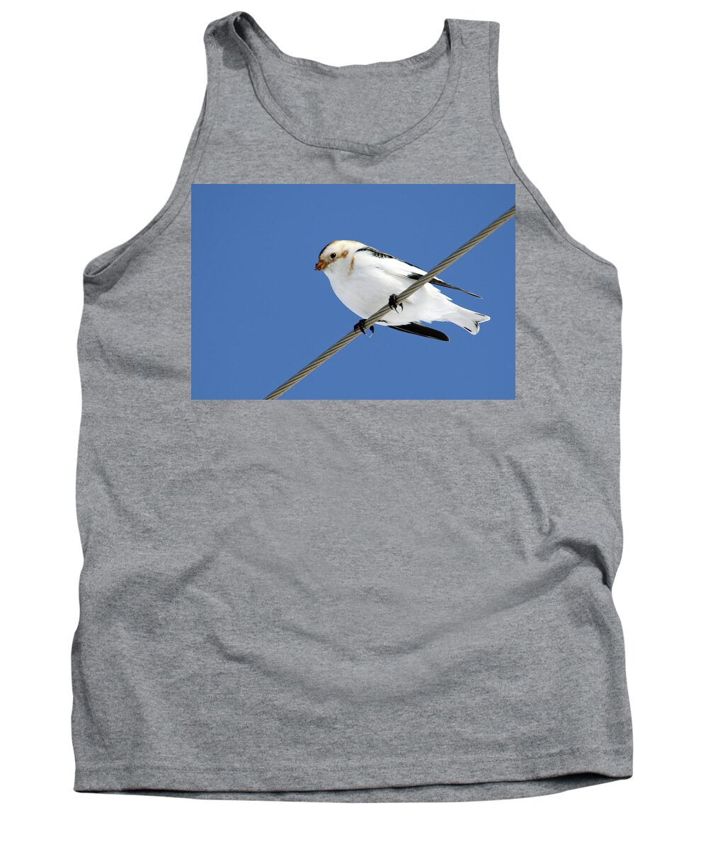 Snow Bunting Tank Top featuring the photograph Snow Bunting by Brook Burling