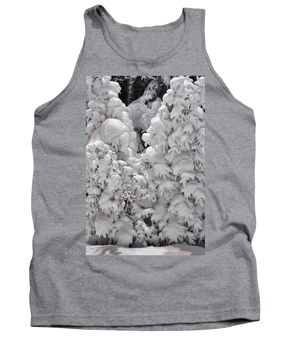 Snow Tank Top featuring the photograph Snow Coat by Alex Grichenko