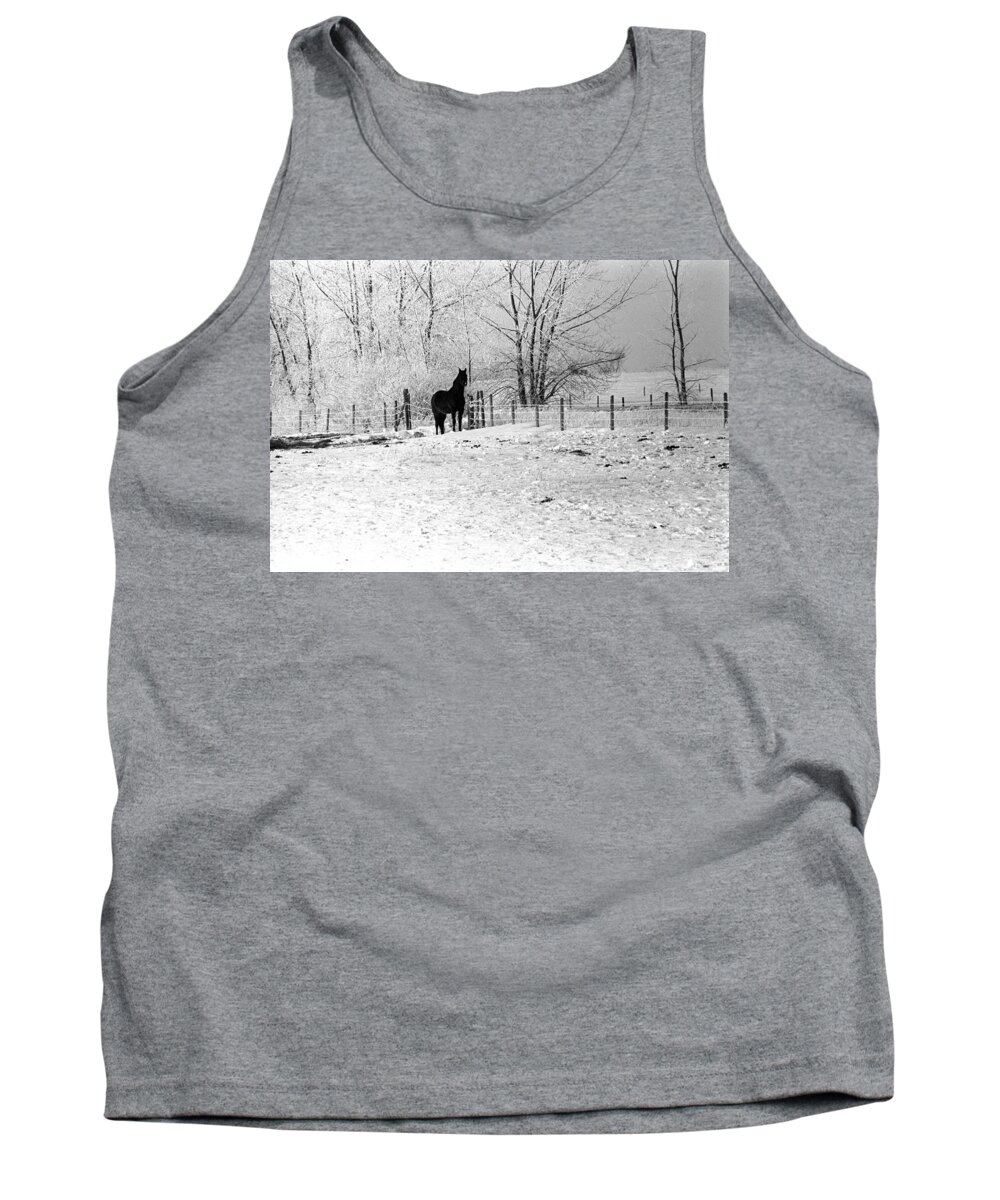 Horse Ward County North Dakota Tank Top featuring the photograph Snow Horse by William Kimble