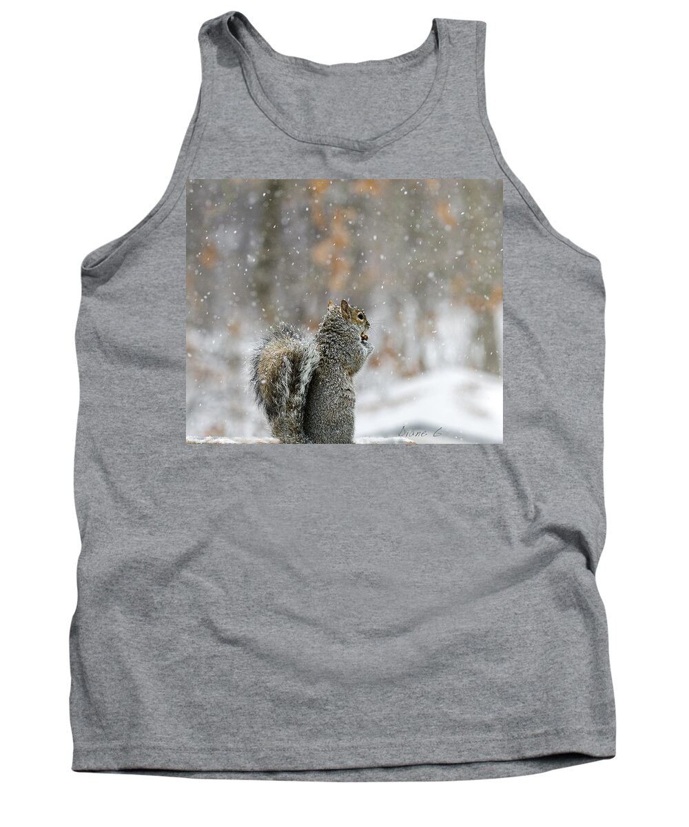 Snow Squirrel Tank Top featuring the photograph Snow Squirrel by Diane Giurco
