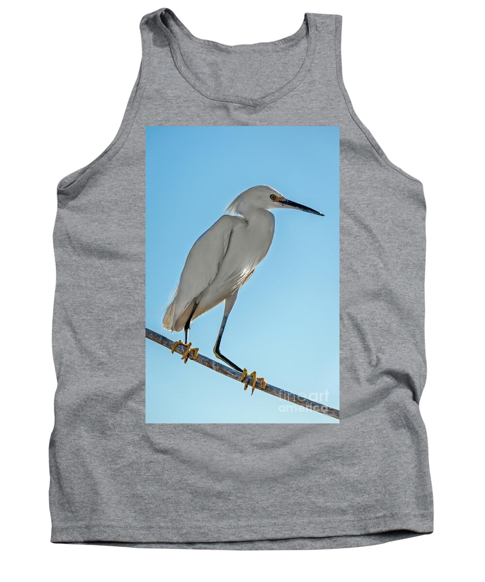 White Tank Top featuring the photograph Snowy Egret by Robert Bales