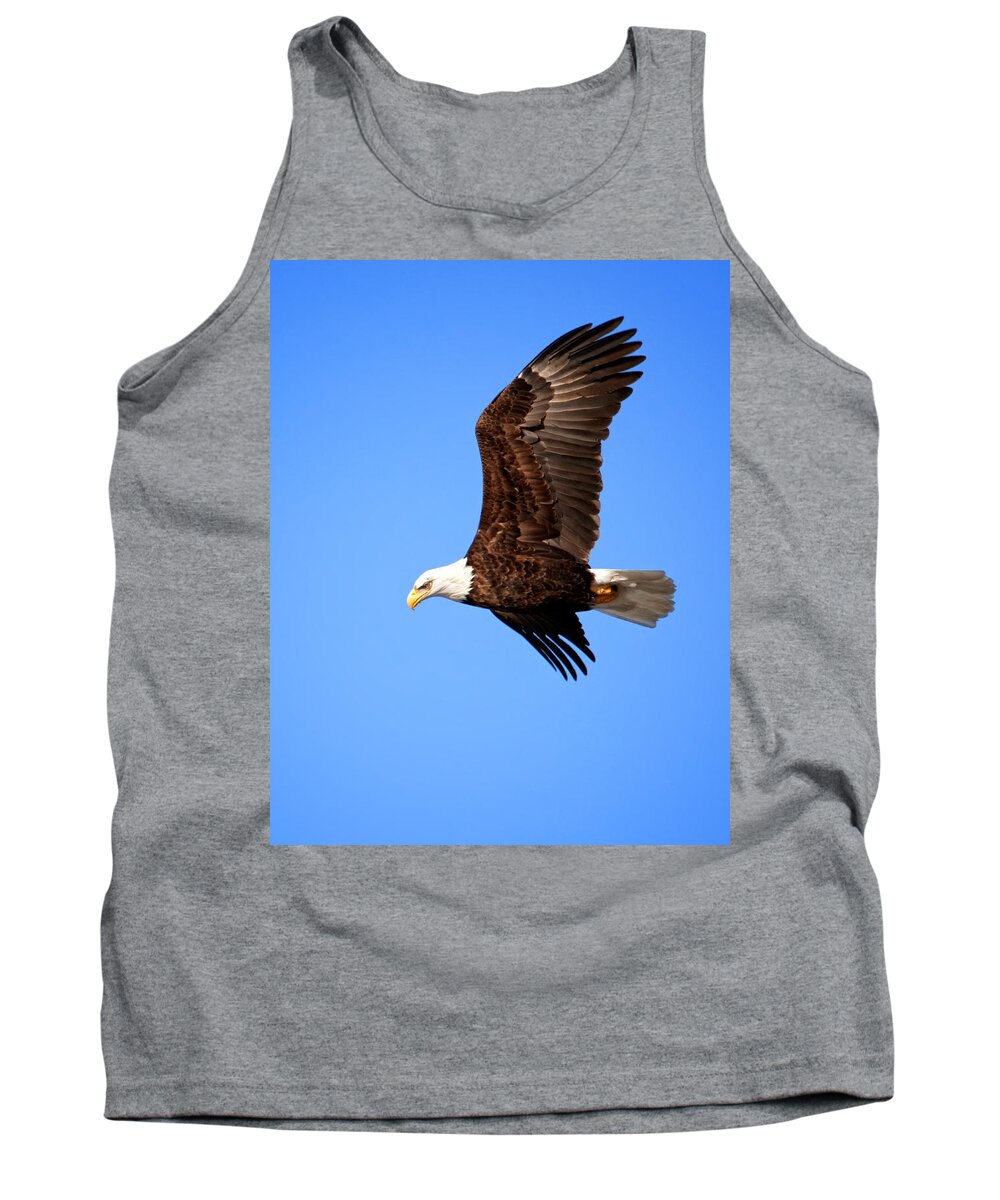Bald Eagle Tank Top featuring the photograph Soaring Bald Eagle by Al Mueller