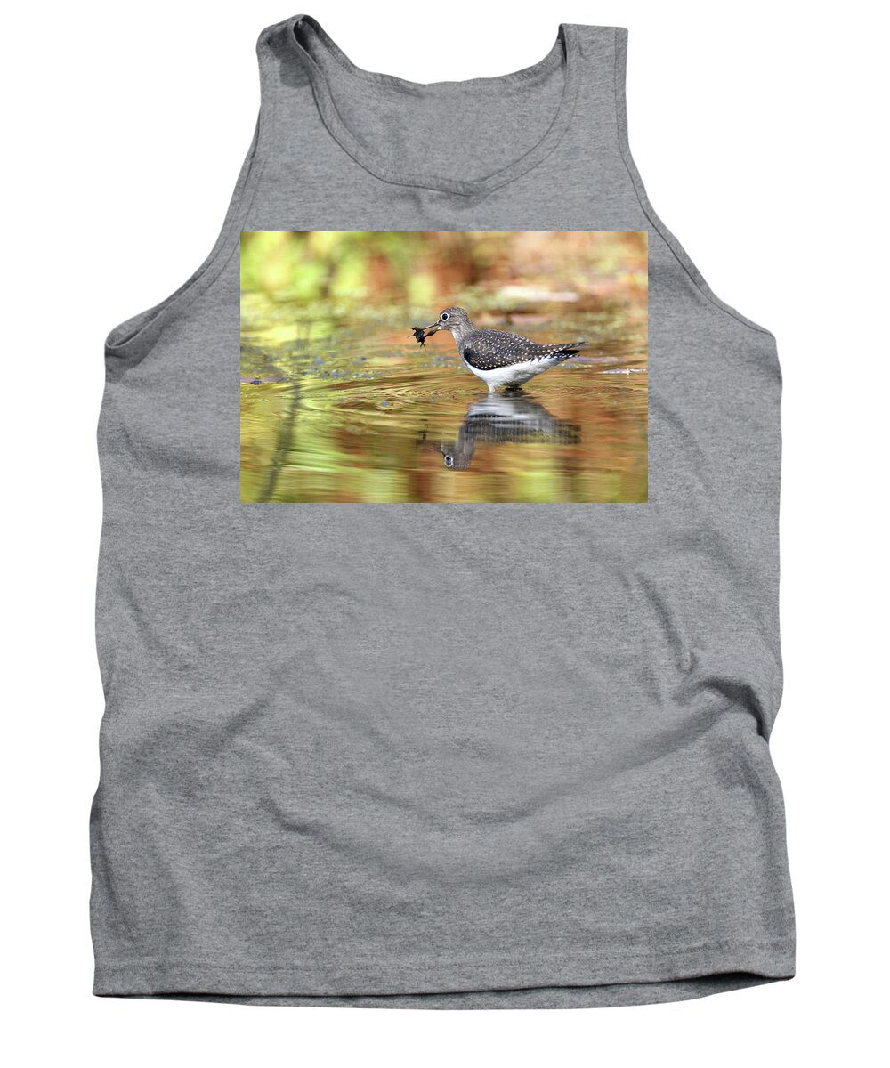 Solitary Sandpiper Tank Top featuring the photograph Solitary Sandpiper with Belostomatide by Brook Burling