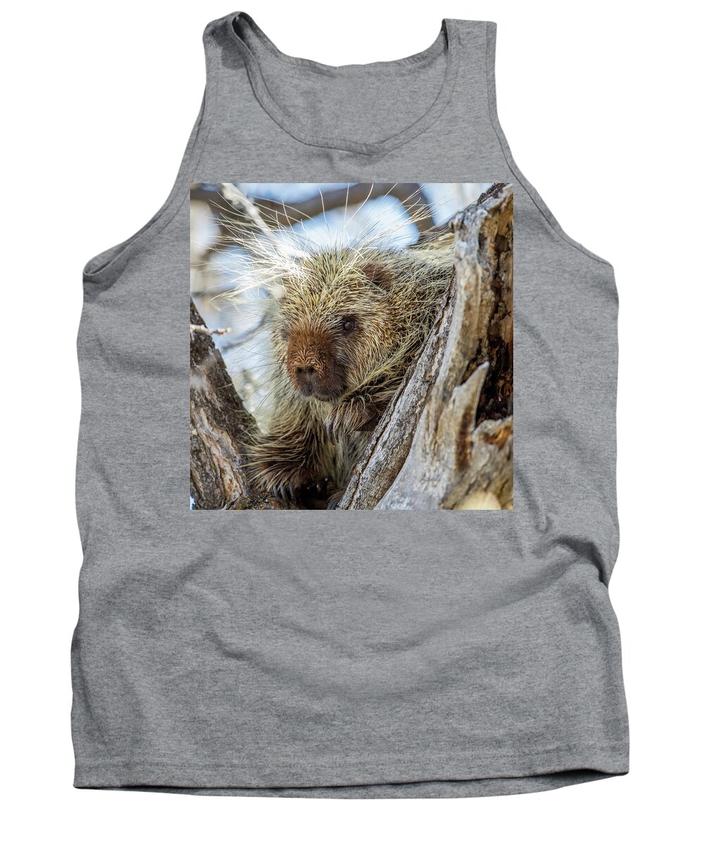 Porcupine Tank Top featuring the photograph Soul Center by Kevin Dietrich
