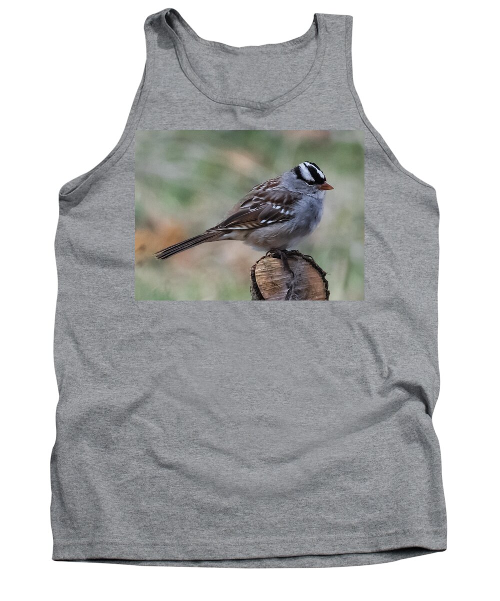 Jan Holden Tank Top featuring the photograph Sparrow   by Holden The Moment