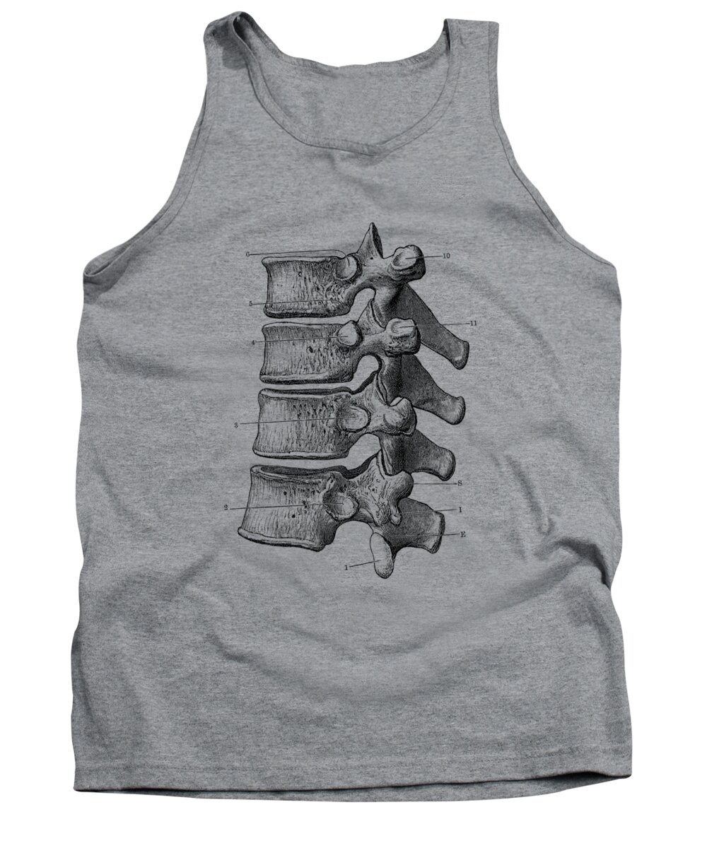 Spine Tank Top featuring the drawing Spinal Cord - Vertebrae View - Vintage Anatomy Print by Vintage Anatomy Prints