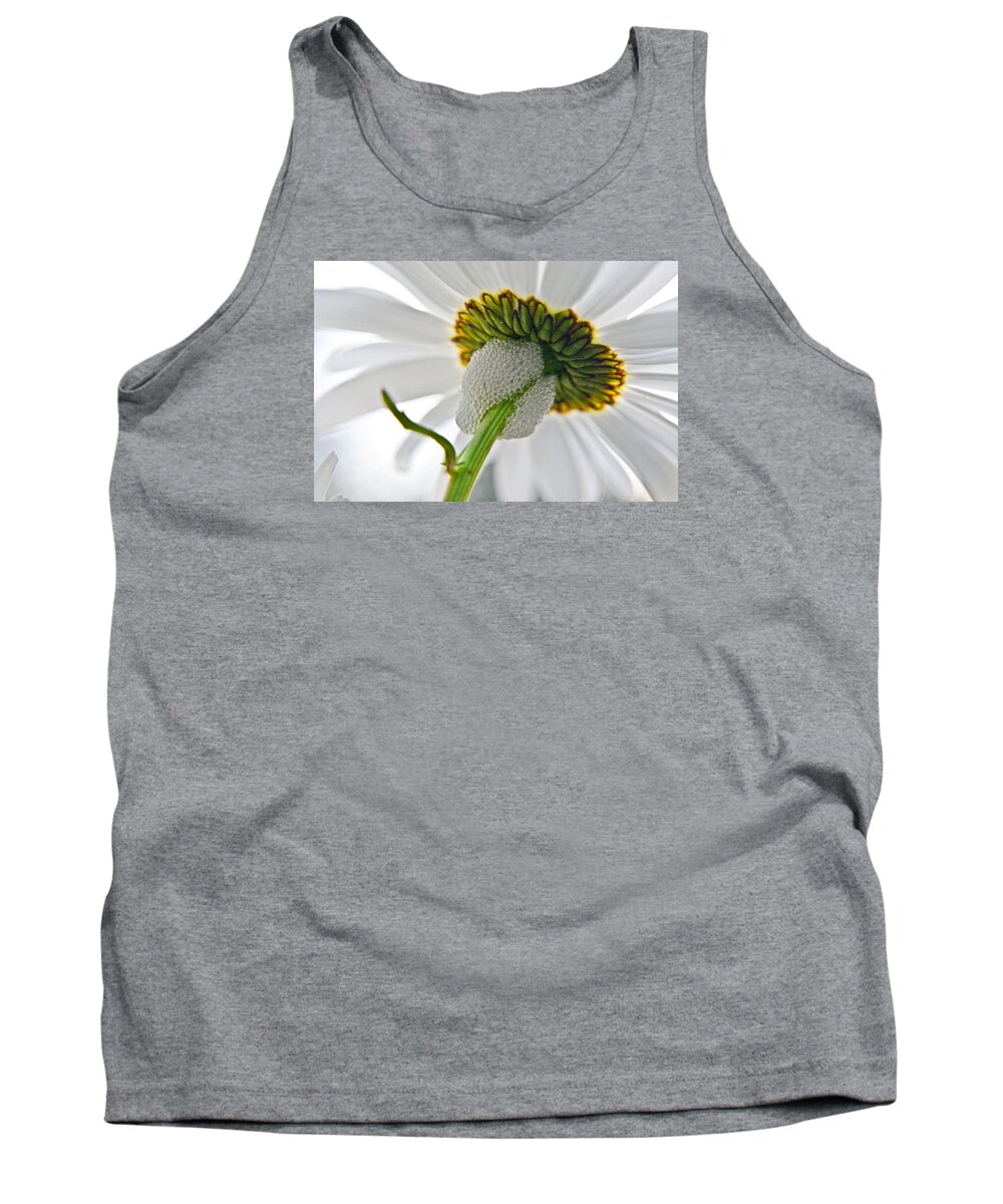 Adria Trail Tank Top featuring the photograph Spittle Bug Umbrella by Adria Trail