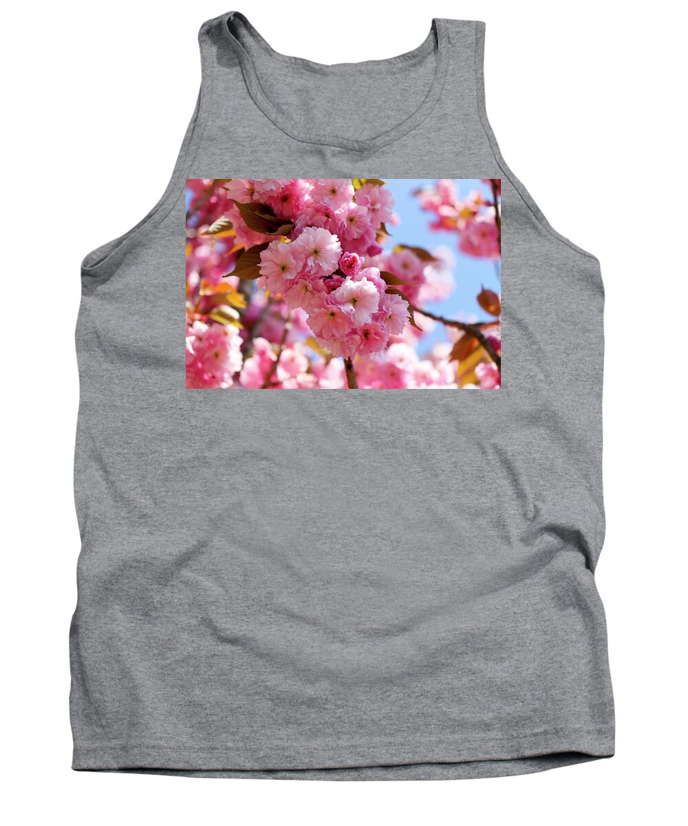 Spring Tank Top featuring the photograph Spring Cherry Blossom by Gavin Bates