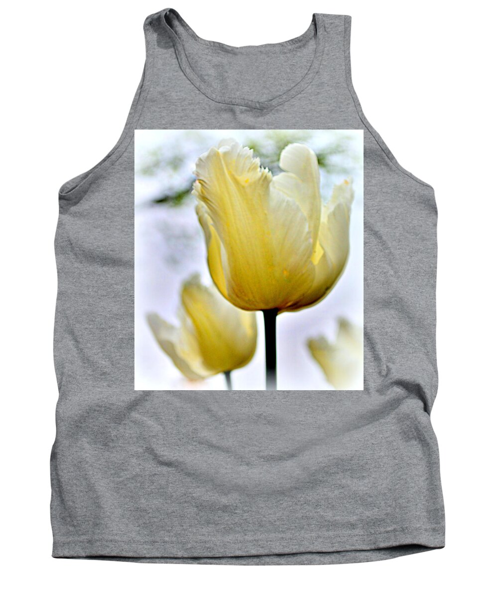 Springtime in the Rockies. Tank Top by Walter Martin - Pixels