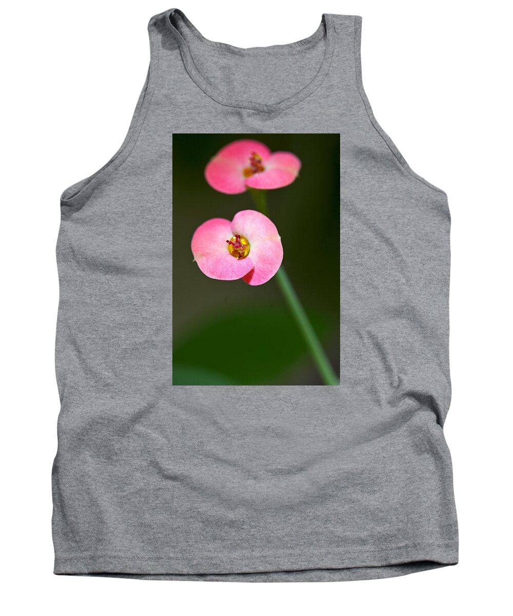 Euphorbia Tank Top featuring the photograph Spurge flower by Antonio Ballesteros
