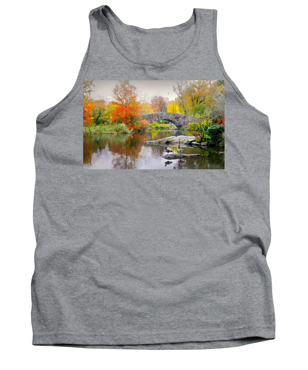Landscape Tank Top featuring the photograph Stepping Stones by Diana Angstadt