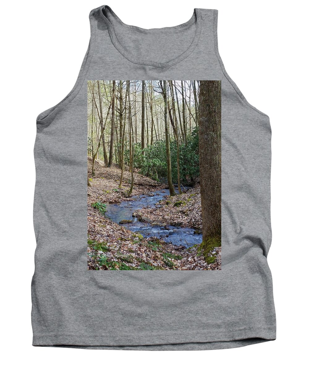Stream Tank Top featuring the photograph Stream in the Winter Woods by Denise Romano